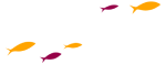Compartamos Banco