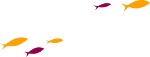 Compartamos Financiera